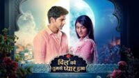 Dil Ko Tumse Pyaar Hua 29th August 2024 Written Update