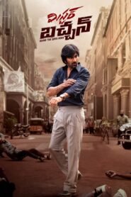 Mr. Bachchan 2024 Hindi Dual Audio WEB-DL 1080p – 720p – 480p